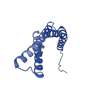 31651_7v33_V_v1-0
Active state complex I from rotenone-NADH dataset