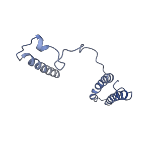31651_7v33_j_v1-0
Active state complex I from rotenone-NADH dataset