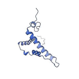 31651_7v33_o_v1-0
Active state complex I from rotenone-NADH dataset