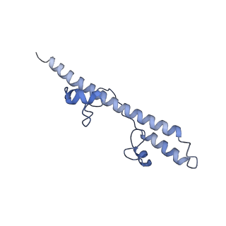 31651_7v33_v_v1-0
Active state complex I from rotenone-NADH dataset