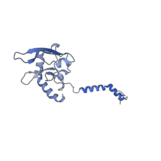 31652_7v3m_B_v1-0
Deactive state complex I from rotenone-NADH dataset