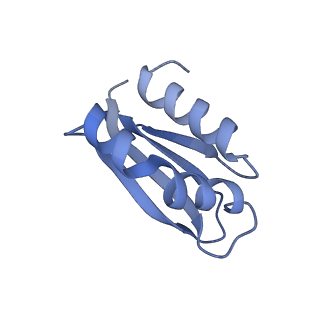 31652_7v3m_F_v1-0
Deactive state complex I from rotenone-NADH dataset