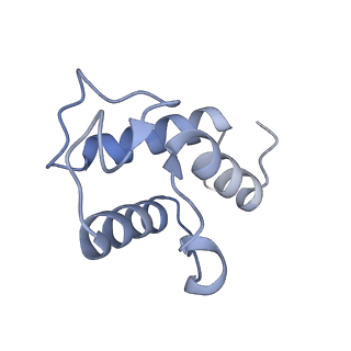 31652_7v3m_G_v1-0
Deactive state complex I from rotenone-NADH dataset