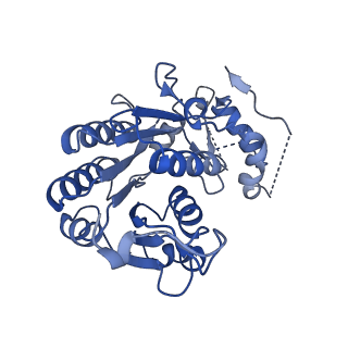 31652_7v3m_J_v1-0
Deactive state complex I from rotenone-NADH dataset