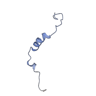 31652_7v3m_K_v1-0
Deactive state complex I from rotenone-NADH dataset