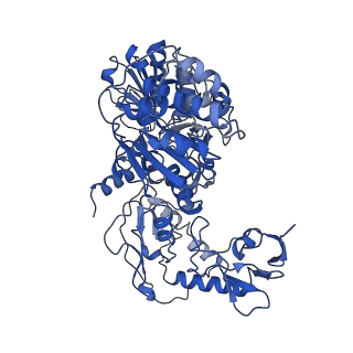 31652_7v3m_M_v1-0
Deactive state complex I from rotenone-NADH dataset