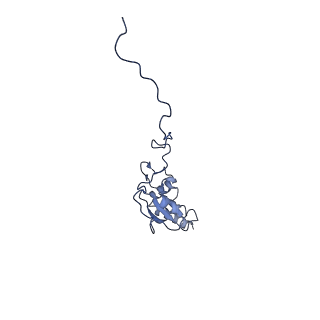 31652_7v3m_N_v1-0
Deactive state complex I from rotenone-NADH dataset