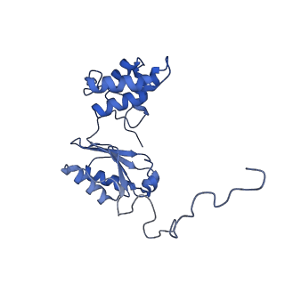 31652_7v3m_O_v1-0
Deactive state complex I from rotenone-NADH dataset