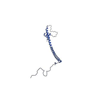 31652_7v3m_W_v1-0
Deactive state complex I from rotenone-NADH dataset