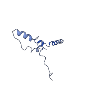 31652_7v3m_Z_v1-0
Deactive state complex I from rotenone-NADH dataset