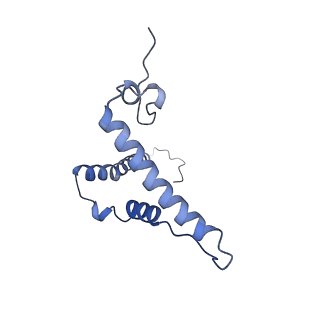 31652_7v3m_o_v1-0
Deactive state complex I from rotenone-NADH dataset