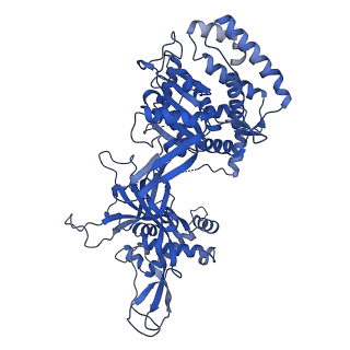 31684_7v3u_2_v1-0
Cryo-EM structure of MCM double hexamer with structured Mcm4-NSD