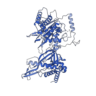 31684_7v3u_3_v1-0
Cryo-EM structure of MCM double hexamer with structured Mcm4-NSD
