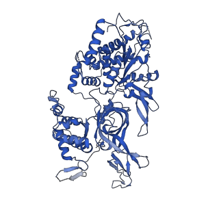 31684_7v3u_4_v1-0
Cryo-EM structure of MCM double hexamer with structured Mcm4-NSD