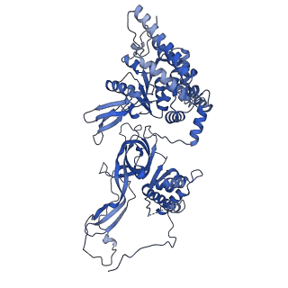 31684_7v3u_5_v1-0
Cryo-EM structure of MCM double hexamer with structured Mcm4-NSD