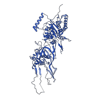 31684_7v3u_6_v1-0
Cryo-EM structure of MCM double hexamer with structured Mcm4-NSD