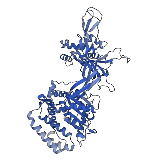 31684_7v3u_B_v1-0
Cryo-EM structure of MCM double hexamer with structured Mcm4-NSD