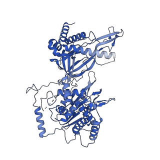 31684_7v3u_C_v1-0
Cryo-EM structure of MCM double hexamer with structured Mcm4-NSD