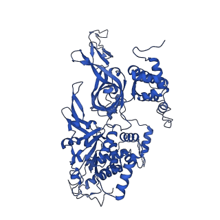 31684_7v3u_D_v1-0
Cryo-EM structure of MCM double hexamer with structured Mcm4-NSD
