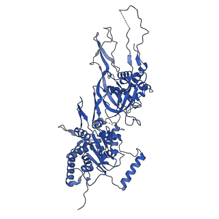 31684_7v3u_F_v1-0
Cryo-EM structure of MCM double hexamer with structured Mcm4-NSD
