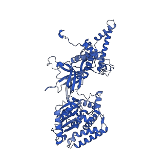 31684_7v3u_G_v1-0
Cryo-EM structure of MCM double hexamer with structured Mcm4-NSD