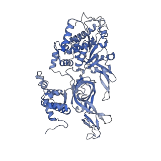 31685_7v3v_4_v1-0
Cryo-EM structure of MCM double hexamer bound with DDK in State I