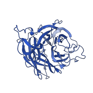 21042_6v4n_M_v1-1
Structure of human 1G05 Fab in complex with influenza virus neuraminidase from B/Phuket/3073/2013