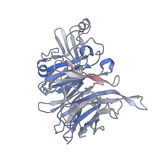 21044_6v4p_A_v1-3
Structure of the integrin AlphaIIbBeta3-Abciximab complex