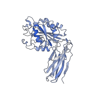 21044_6v4p_B_v1-3
Structure of the integrin AlphaIIbBeta3-Abciximab complex