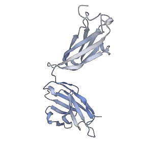 21044_6v4p_C_v1-3
Structure of the integrin AlphaIIbBeta3-Abciximab complex