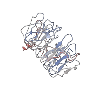 21048_6v4u_C_v1-2
Cryo-EM structure of SMCR8-C9orf72-WDR41 complex