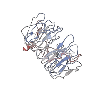 21048_6v4u_C_v1-3
Cryo-EM structure of SMCR8-C9orf72-WDR41 complex