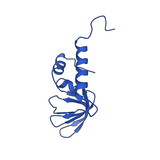 21050_6v4x_C_v1-1
Cryo-EM structure of an active human histone pre-mRNA 3'-end processing machinery at 3.2 Angstrom resolution