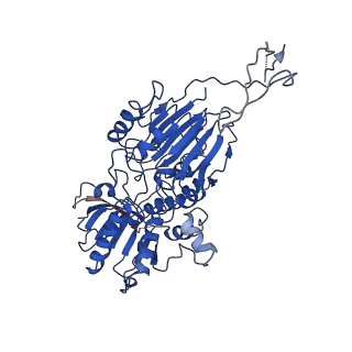21050_6v4x_I_v1-1
Cryo-EM structure of an active human histone pre-mRNA 3'-end processing machinery at 3.2 Angstrom resolution