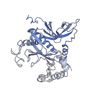 31711_7v4h_A_v1-0
Cryo-EM Structure of Glycine max glutamine synthetase GmGS Beta2
