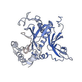 31711_7v4h_B_v1-0
Cryo-EM Structure of Glycine max glutamine synthetase GmGS Beta2