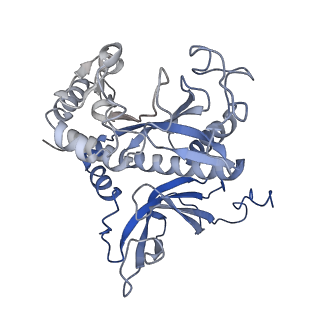 31711_7v4h_C_v1-0
Cryo-EM Structure of Glycine max glutamine synthetase GmGS Beta2