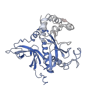31711_7v4h_D_v1-0
Cryo-EM Structure of Glycine max glutamine synthetase GmGS Beta2