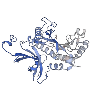 31711_7v4h_E_v1-0
Cryo-EM Structure of Glycine max glutamine synthetase GmGS Beta2