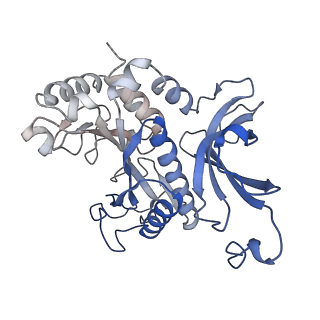 31711_7v4h_F_v1-0
Cryo-EM Structure of Glycine max glutamine synthetase GmGS Beta2