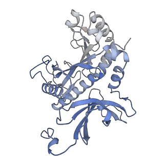 31711_7v4h_G_v1-0
Cryo-EM Structure of Glycine max glutamine synthetase GmGS Beta2