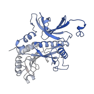 31711_7v4h_H_v1-0
Cryo-EM Structure of Glycine max glutamine synthetase GmGS Beta2