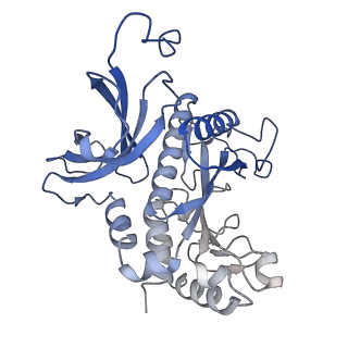 31711_7v4h_I_v1-0
Cryo-EM Structure of Glycine max glutamine synthetase GmGS Beta2
