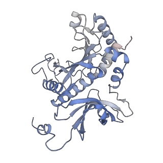 31712_7v4i_A_v1-0
Cryo-EM Structure of Camellia sinensis glutamine synthetase CsGSIb decamer assembly