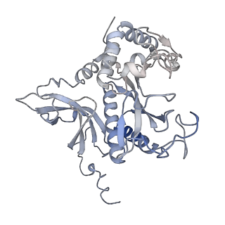 31712_7v4i_B_v1-0
Cryo-EM Structure of Camellia sinensis glutamine synthetase CsGSIb decamer assembly