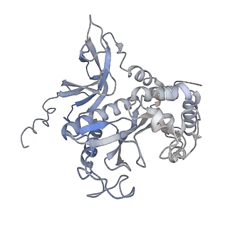 31712_7v4i_C_v1-0
Cryo-EM Structure of Camellia sinensis glutamine synthetase CsGSIb decamer assembly
