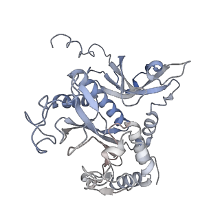 31712_7v4i_D_v1-0
Cryo-EM Structure of Camellia sinensis glutamine synthetase CsGSIb decamer assembly