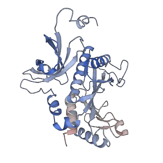 31712_7v4i_E_v1-0
Cryo-EM Structure of Camellia sinensis glutamine synthetase CsGSIb decamer assembly
