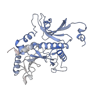 31712_7v4i_F_v1-0
Cryo-EM Structure of Camellia sinensis glutamine synthetase CsGSIb decamer assembly