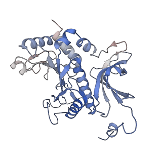31712_7v4i_G_v1-0
Cryo-EM Structure of Camellia sinensis glutamine synthetase CsGSIb decamer assembly